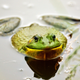 Illustration for article titled Rhode Island supermarket told to stop selling live frogs and turtles
